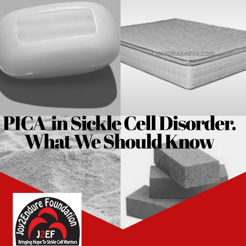 Pica Disorder (eating or craving of things that are not food) mind